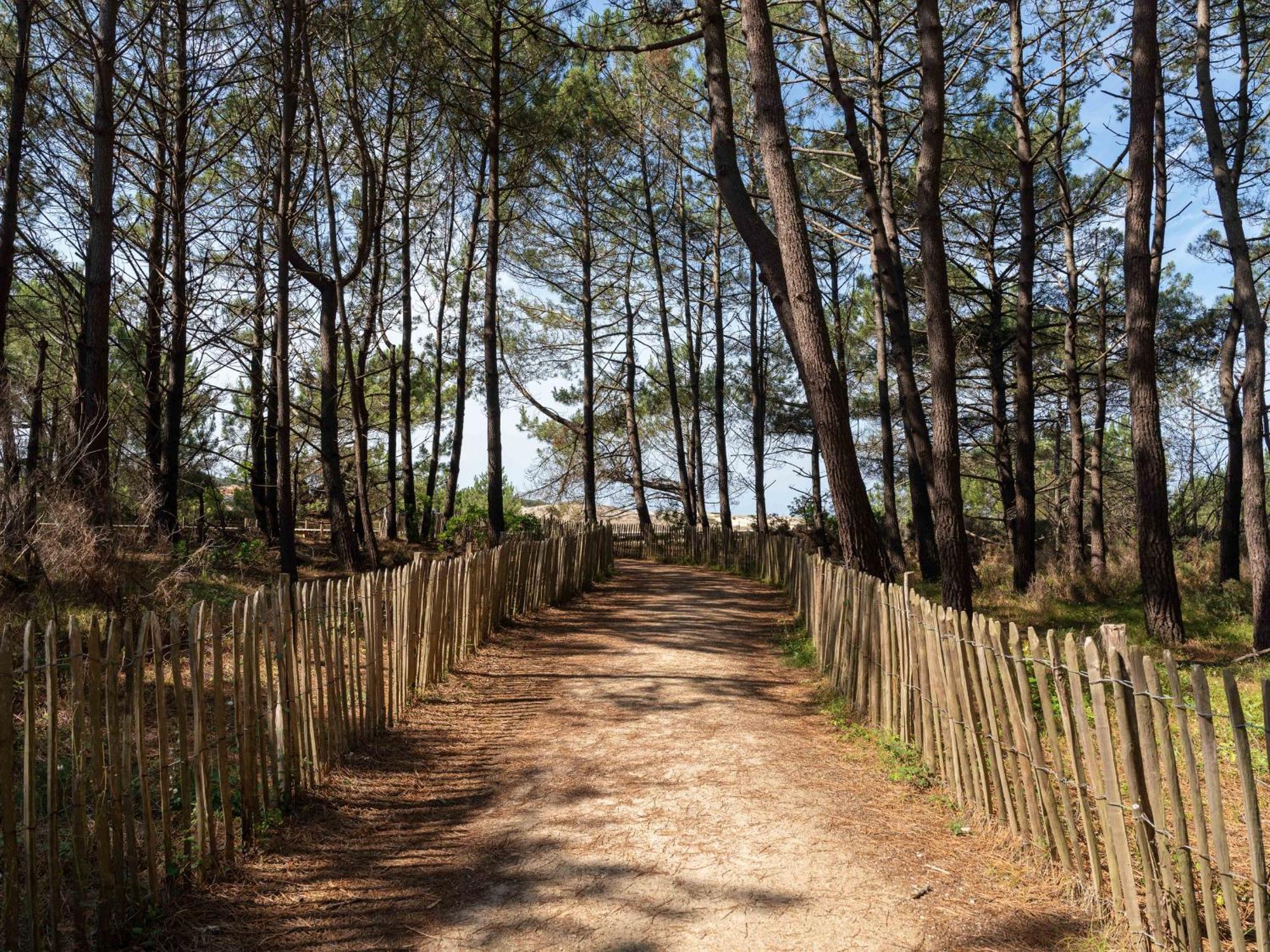 Biscarrosse Plage - Studio T1 Bis En Bord De Mer - Menage Inclus - Fr-1-319-185 Exterior photo